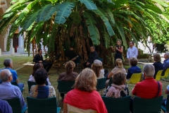 sette-note-arte-27-settembre-ecu-trio-50